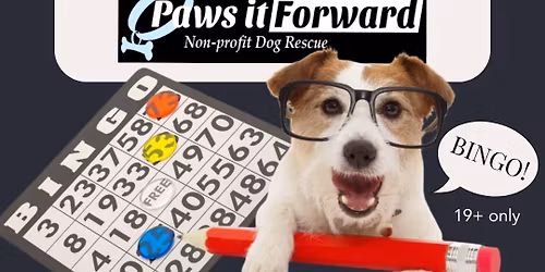 BINGO Night with Paws It Forward