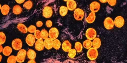 Mathematical Oncology: Could We Cure Cancer with Calculus?