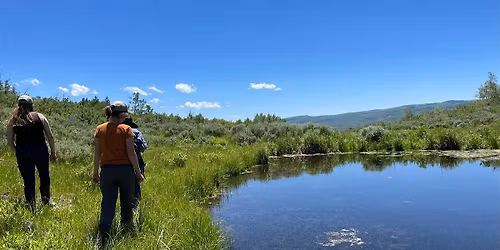 Day Trip: Left Fork Currant Creek Ponds 1-3 (Self-drive)