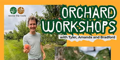 Orchard Care: Designing a Polyculture Understory