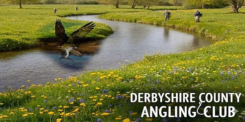 Derbyshire County Show