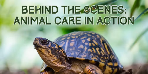Animal Care Behind the Scenes