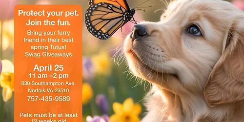 FREE Rabies Vaccinations for Your Pets at Norfolk Public Health