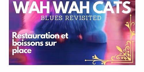 Concert des Wah Wah Cats chez Antiquit\u00e9 Herv\u00e9 RITTER
