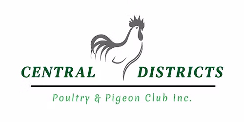 CDP&PC Annual Show 2026