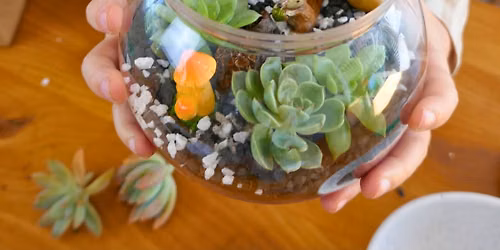 Little Gardeners Terrarium Workshop