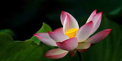 Come and Rest \u2013 A Day Retreat