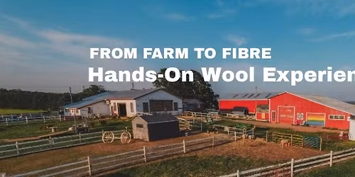 From Farm to Fibre: Shearing & Dyeing