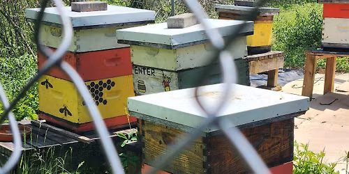 Open Hive!