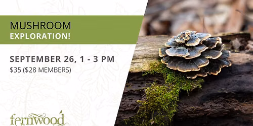 MUSHROOM EXPLORATION!