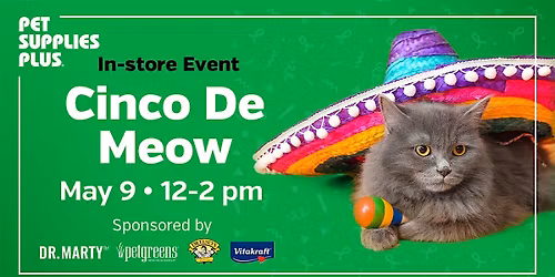 Cinco de Meow