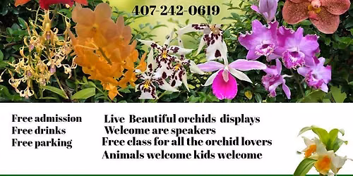 Orlando international orchids show and sale