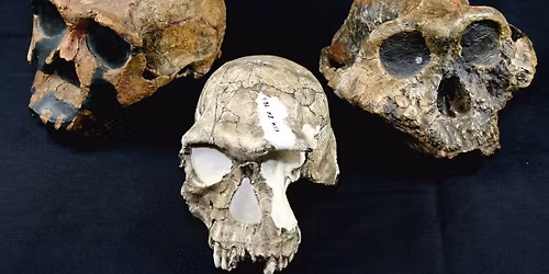 Neandertalci i \u017eivotinje: pri\u010da o okoli\u0161u i pre\u017eivljavanju - predavanje dr. sc. Sini\u0161e Radovi\u0107a