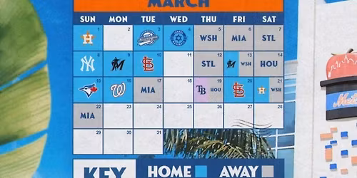 Spring Training: Houston Astros vs. St. Louis Cardinals