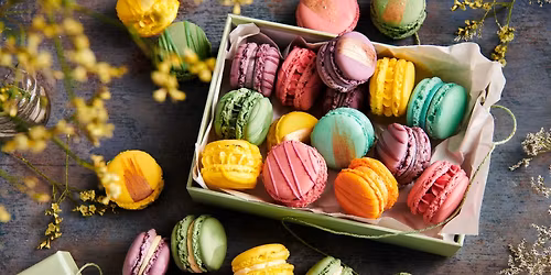 \ud83e\udd42 Yoga, Local Macarons & Wine Pairing at The View Winery