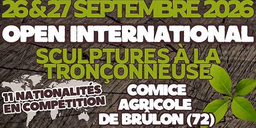 Le Comice Agricole de Brûlon reçoit l'OPEN INTERNATIONAL de Sculptures à la Tronçonneuse !
