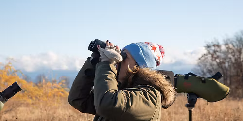 Birdwatching Hot Spots: Fort Sheridan