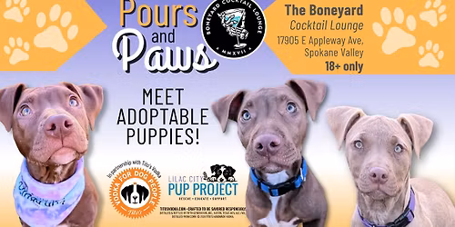 Pours & Paws: Meet the "Up" Puppies