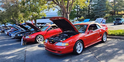 All Ford Car Show