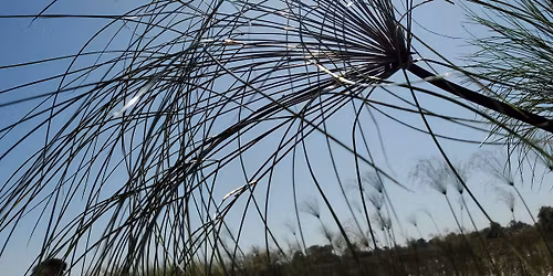 April 21st Reiki Share