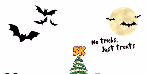 Holiday Lights 5k at Veteran's Park