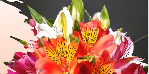 Count Down to Christmas - Kathleen Williams