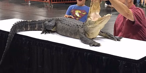 Sacramento Reptile Show