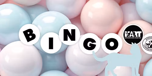 Bingo