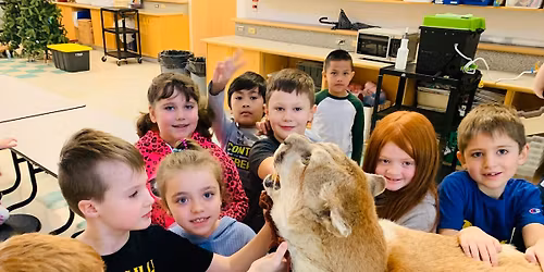 Furs, Skulls and Antlers - Junior Version