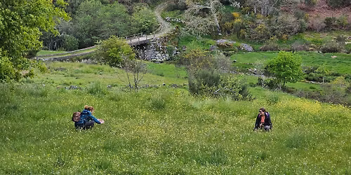 Trilho da Pombeira \u2013 Um Encontro Entre Natureza e Hist\u00f3ria