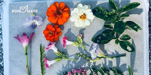 Women\u2019s Pressed Botanical Art & Connection (Winter Haven)