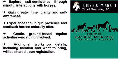 Connection and Clarity: An Equine Supported Event