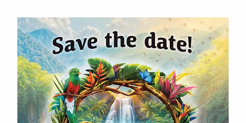 Rainforest Falls VBS