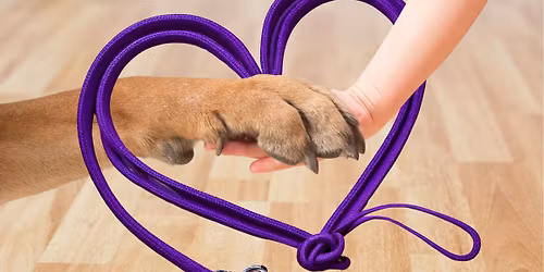 Unleash the Love Pet Therapy Fundraiser