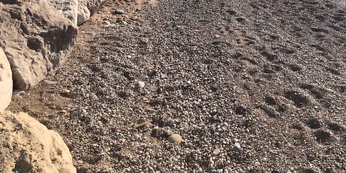 Summer 2026 LWWC Meeting