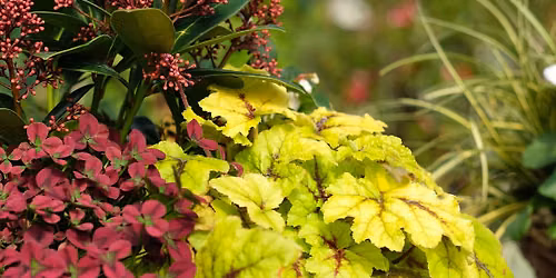 Autumn Planter Workshop