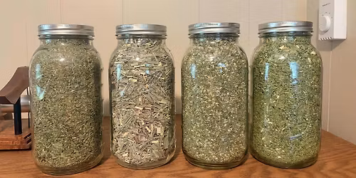 Nourishing the Nervous System