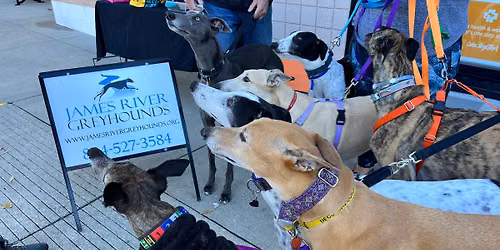 PetSmart Meet & Greet