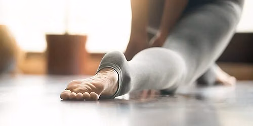 Wild Stillness: Embodied Dance, Yin Yoga, and Reiki