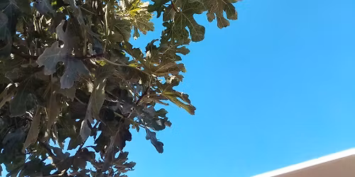 An 'Oh No it's Christmas Again' Jolly Good Night Out 