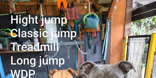 5.Bull Show na Vala\u0161sku 