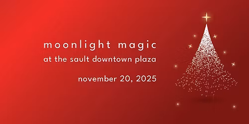 Moonlight Magic at the Sault Downtown Plaza