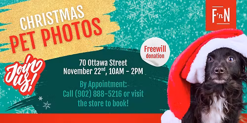 Christmas Pet Photos (Summerside)