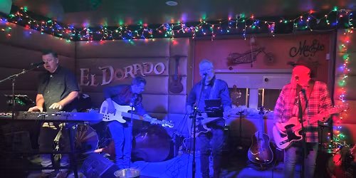 Snake Oil Salesmen at The Playa ll Bar and Grill