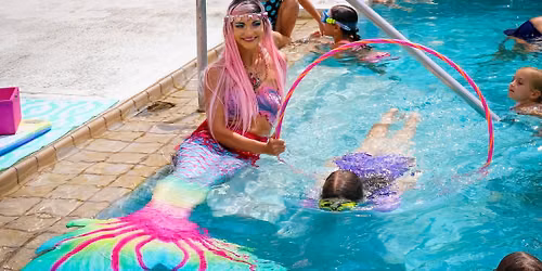 Swimming with Mermaid Flamingo