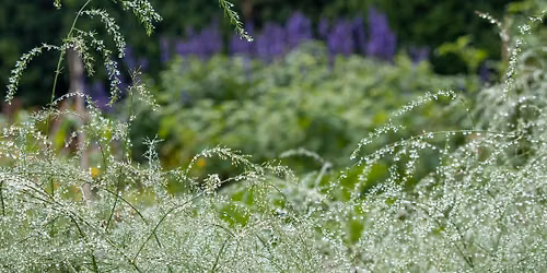 Mindfulness Walk: Glen Burnie Gardens