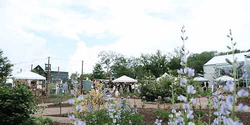 Field & Folk - Seasonal Market Series