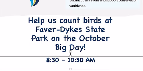 The "October Big Day:" Birding Faver-Dykes State Park