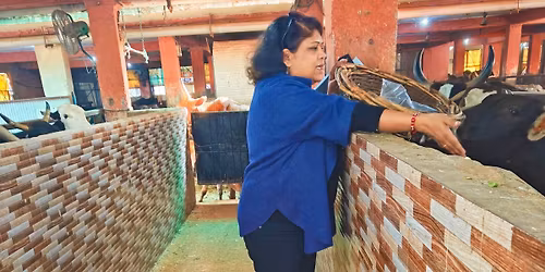 Iwc Zirakpur Greens Gauseva