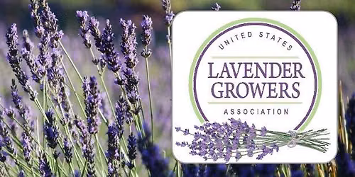 United States Lavender Conference 2027